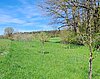 Obstbäume auf einer Streuobstwiese