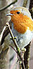 Stiftergemeinschaft Fürth