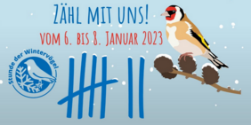 Stunde der Wintervoegel Vogelzaehlaktion