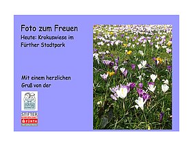 Seniorenstiftung Kemmeter